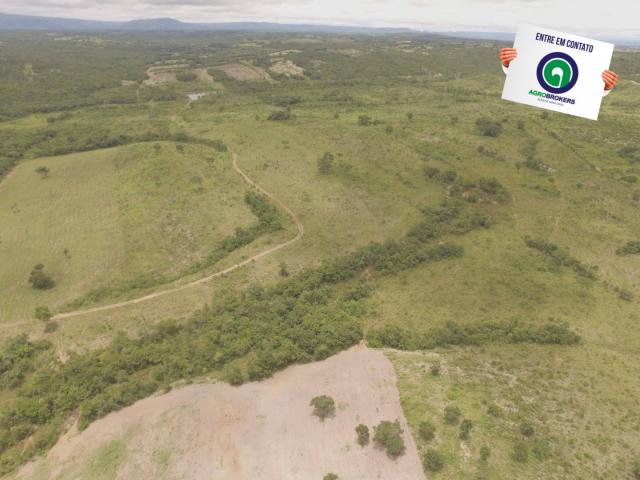 Fazenda 400 ha região de acorizal - Foto 4