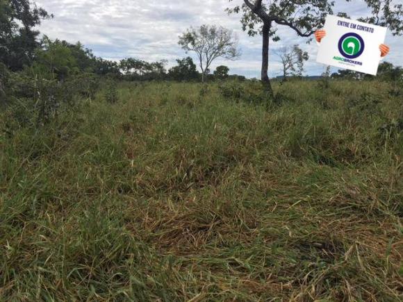 Fazenda 1600 ha no manso - Foto 8