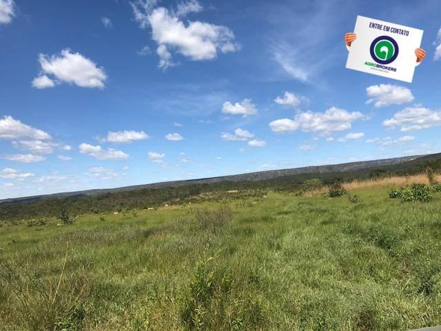 Fazenda 1000 ha no manso - Foto 9