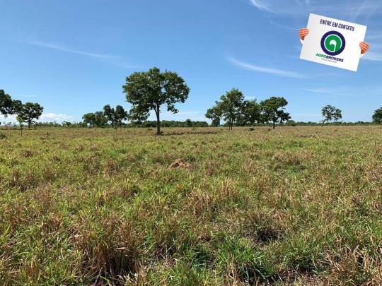 Fazenda 1000 ha região do olho d´água - Foto 14