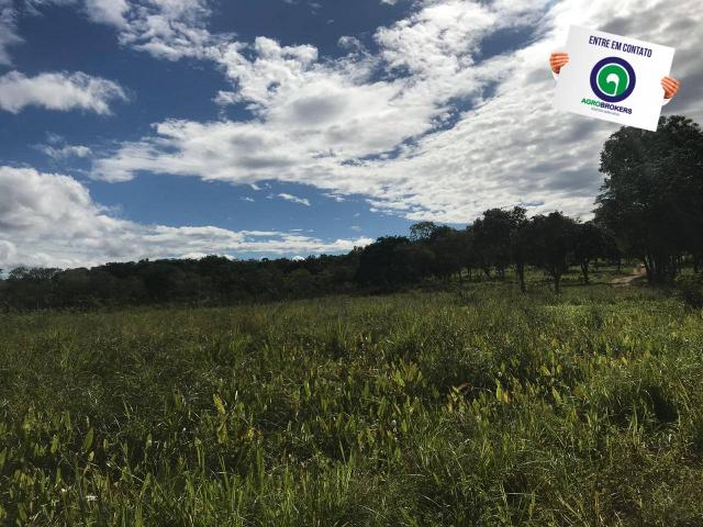 Sitio região do sucuri - Foto 5