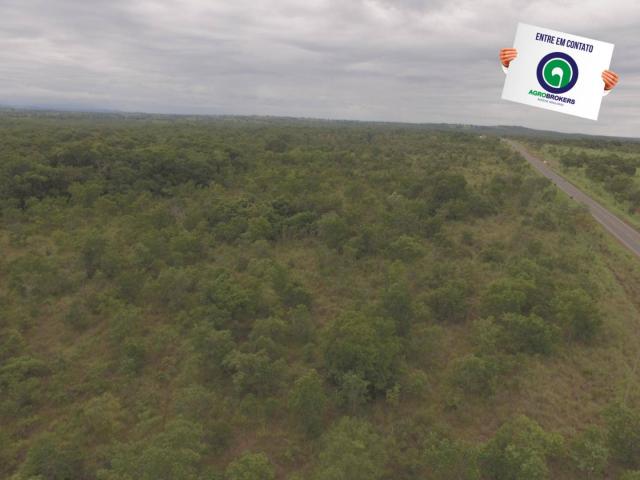 Fazenda 200 ha na beira do asfalto