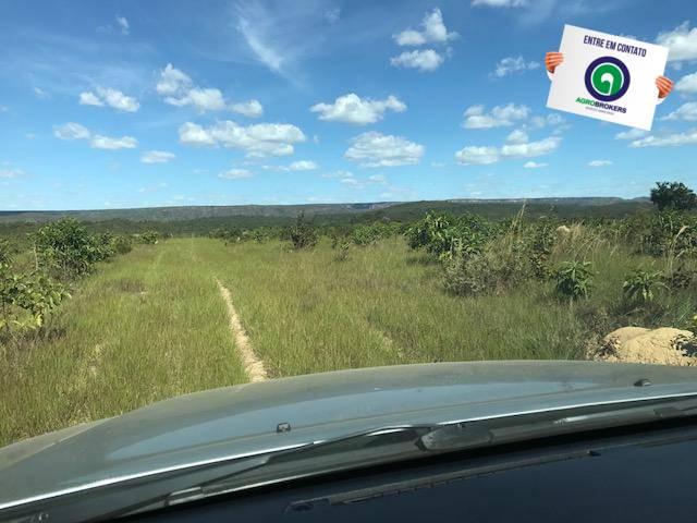 Fazenda 1000 ha no manso - Foto 7