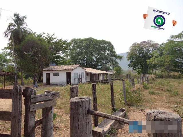 Fazenda 1.970ha