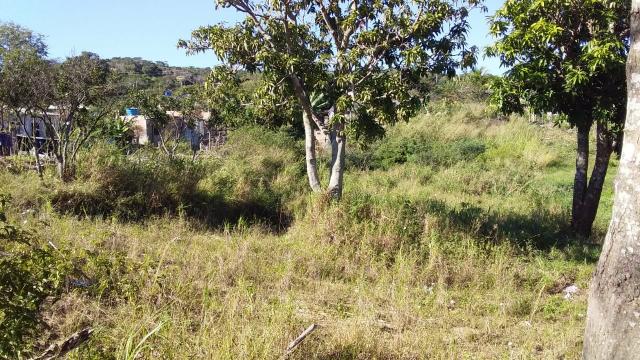 MCód: 118Terreno no Bairro Monte Alegre em Cabo Frio/Rj - Foto 3