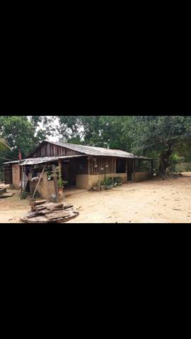 Vende-se uma chácara - Foto 6