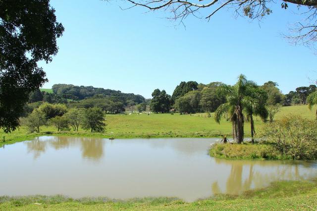Chácara Araucária, 284.000m², tanques, nascente
