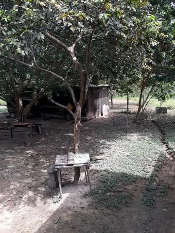 Vendo chácara - Foto 2
