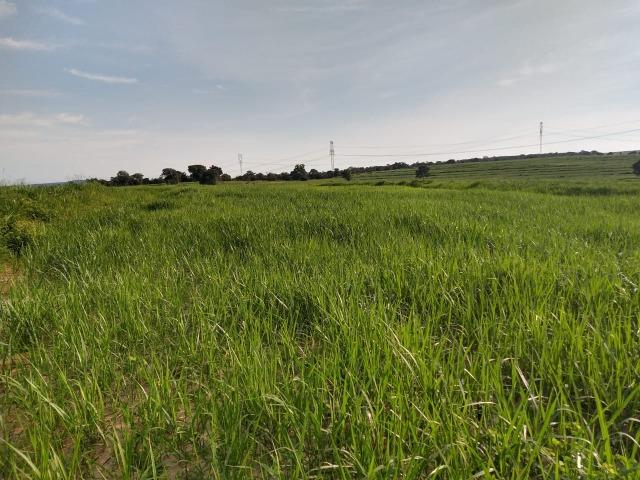 Fazenda Guiratinga MT 6.080 Ha - Foto 19
