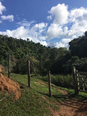 Fazenda cacau e gado - porteira fechada - Foto 10