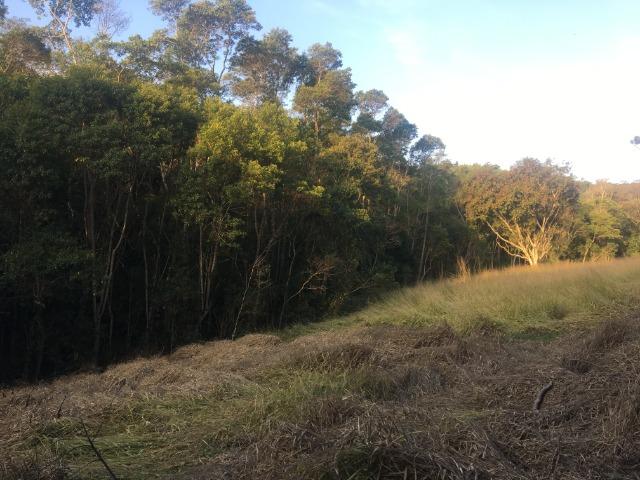 GE Mairiporã 500m2 lindo terreno por R$15.000 de entrada. - Foto 6