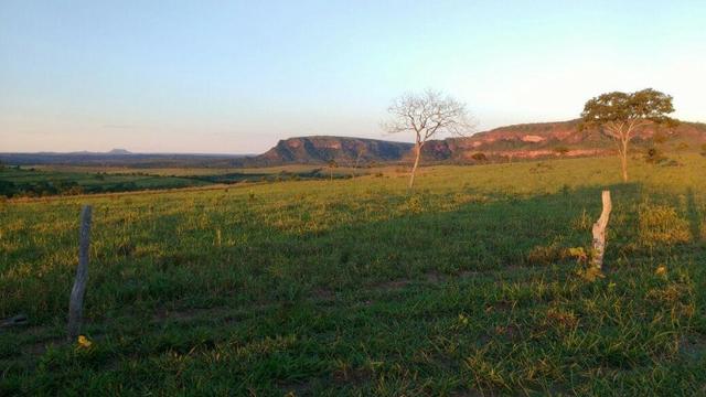 Fazenda Guiratinga MT 6.080 Ha - Foto 9