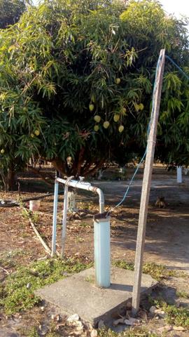 Propriedade Rural (S.Gonçalo do Piauí-Pi) - Foto 2