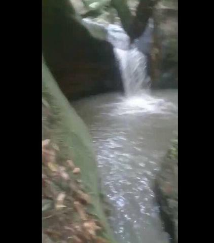 Sítio Chacara Pedra Alta - Foto 4