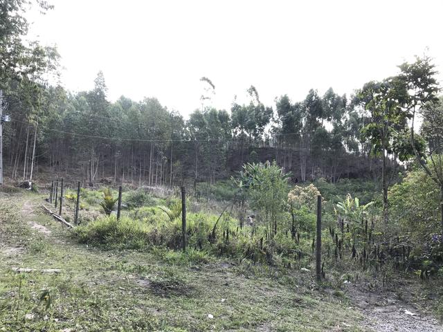 Vendo Fazenda - Foto 18