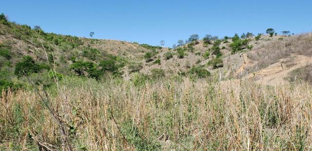 Fazenda 104 hectares , próximo de Governador Valadares MG - Foto 15