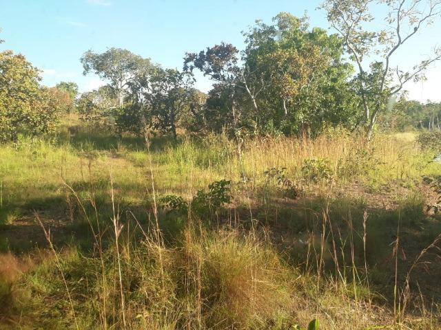 Fazenda há 50 km de Várzea Grande sentido Poconé - Foto 20