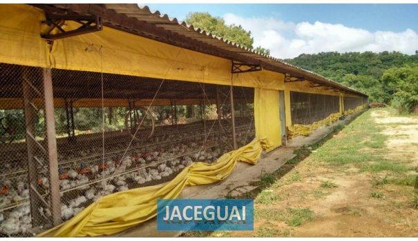 Chácara de 16 alqueires com chales maravilhosa - Foto 4