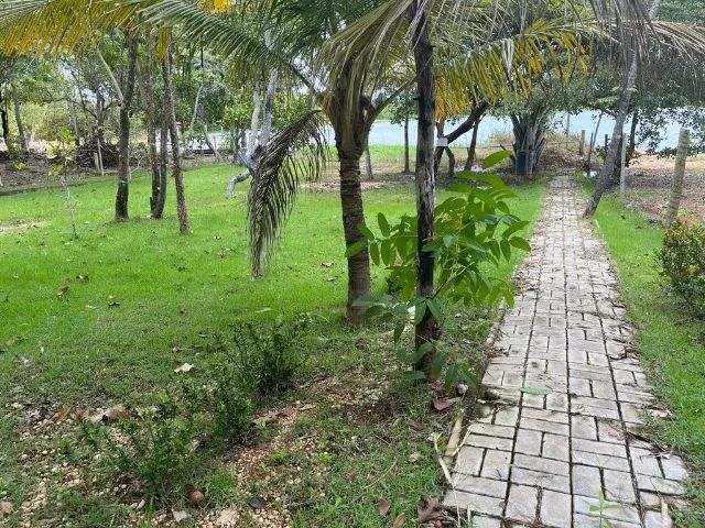 Chácara beira lago com casa - Foto 3