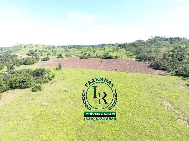 Fazenda 23 Alqueires Beira Asfalto - Foto 4