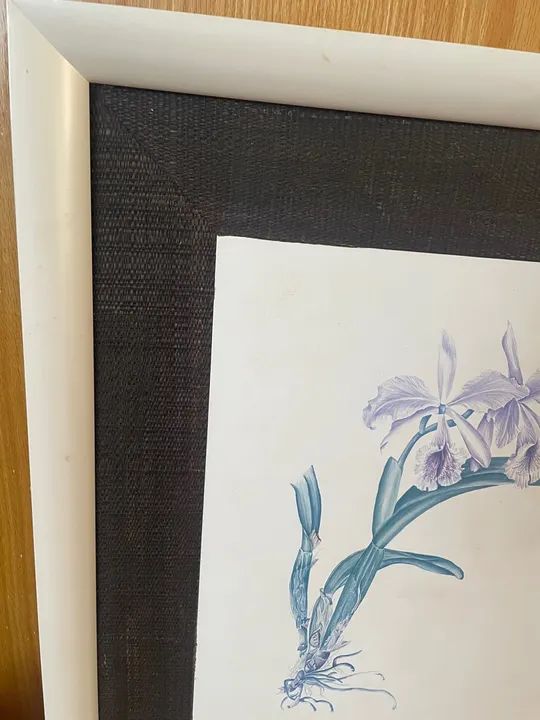 Quadro com Flor de Orquídea - Foto 4