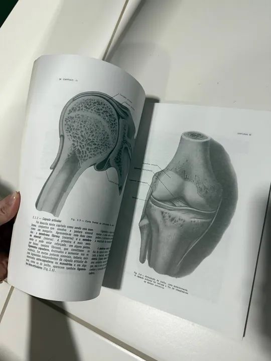Anatomia Humana Básica - Dangelo e Fattini - 2ª edição - Foto 4