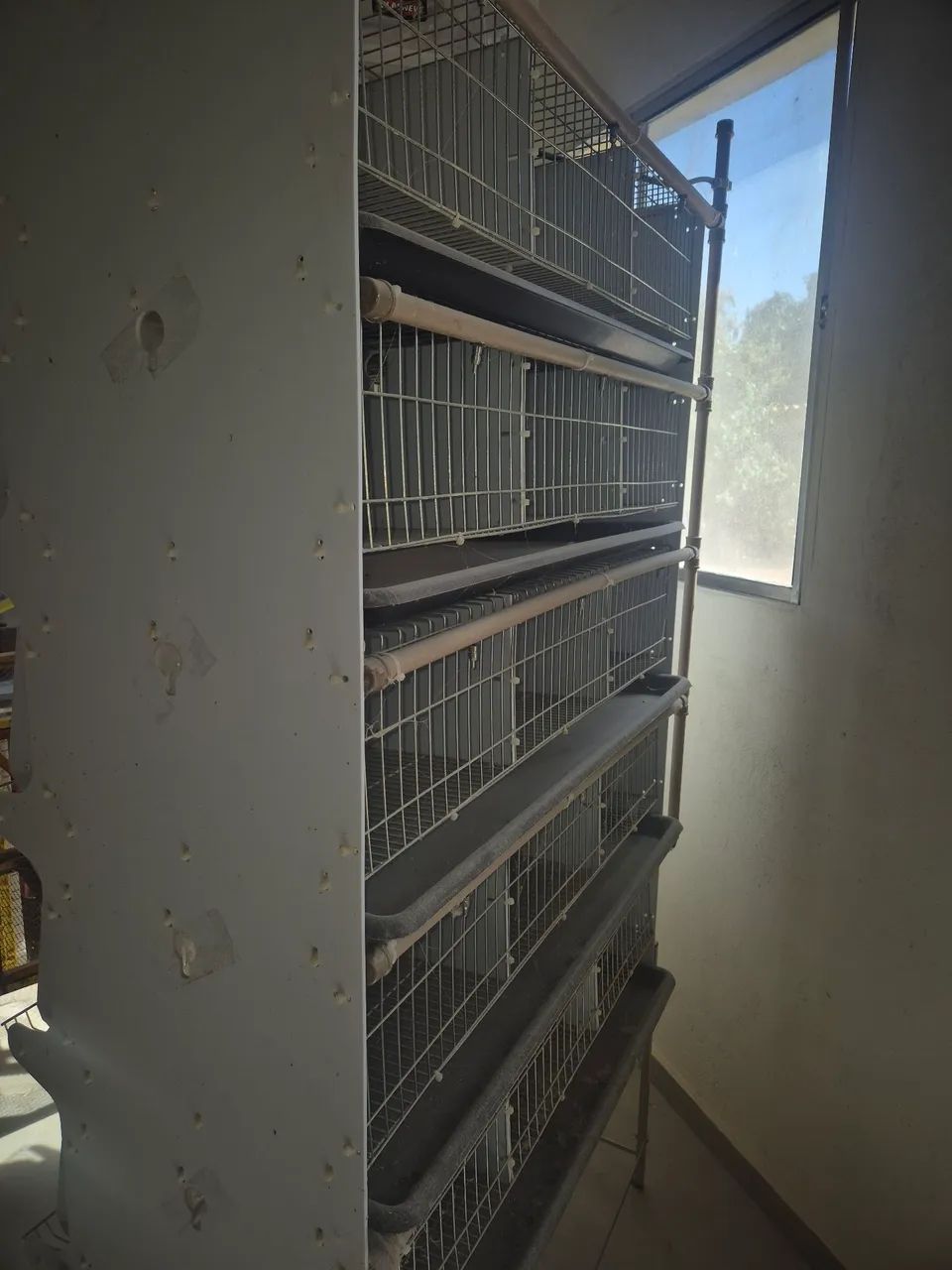 Bateria de Gaiolas para Codornas - Foto 4