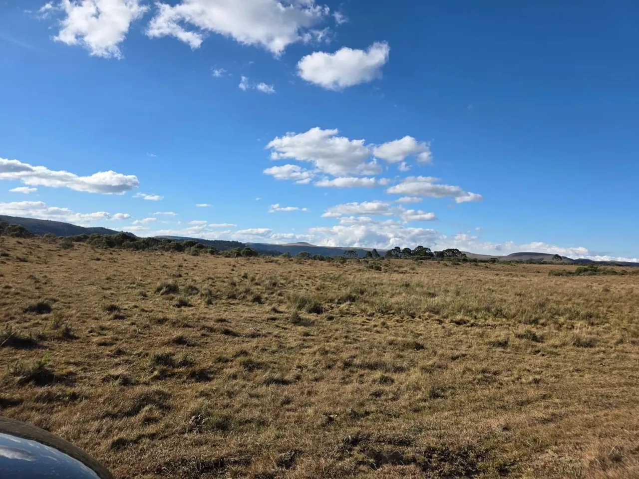 Imóvel para venda com 48 hecatres em Zona Rural - Urubici - SC