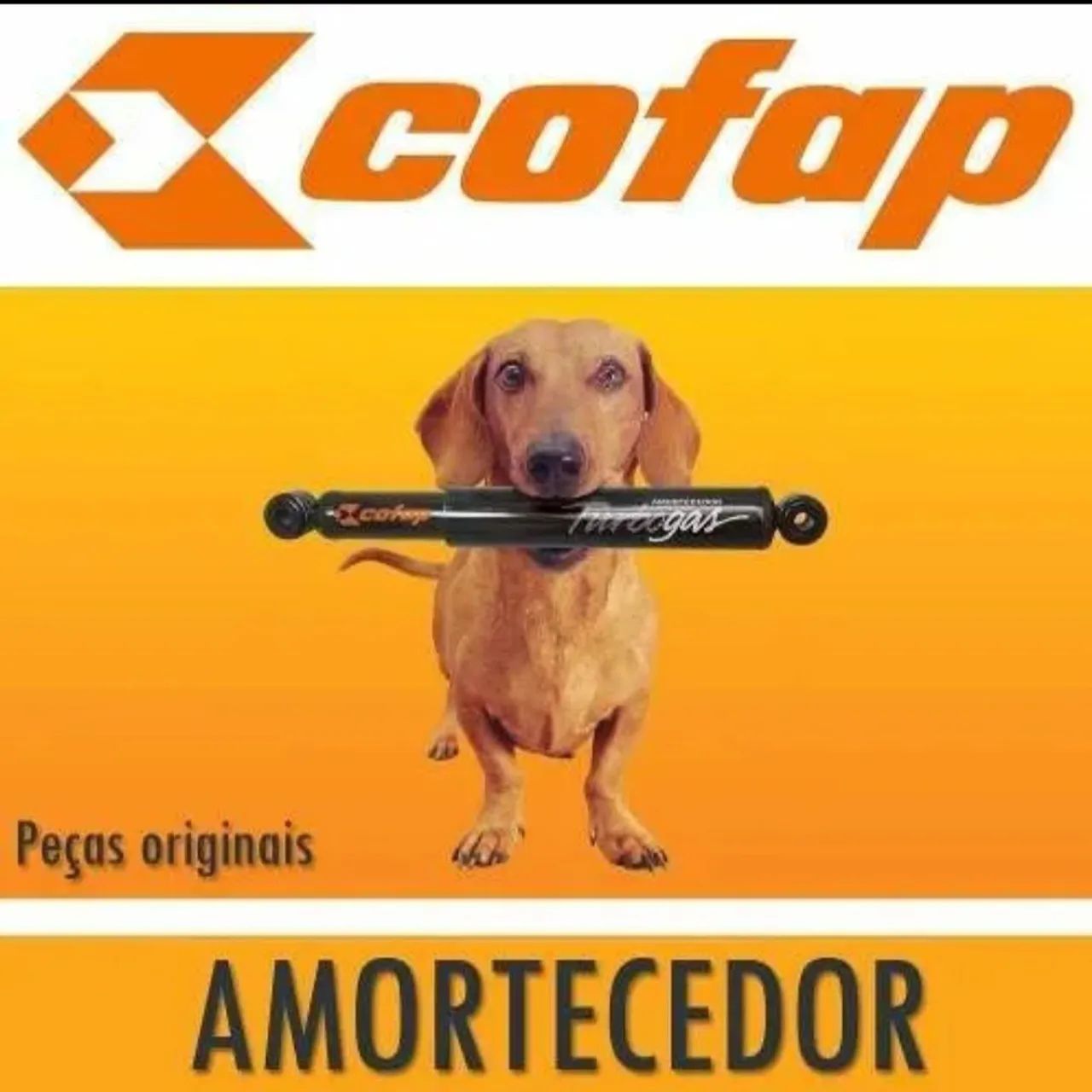 Amortecedores Cofap Montana - Foto 2