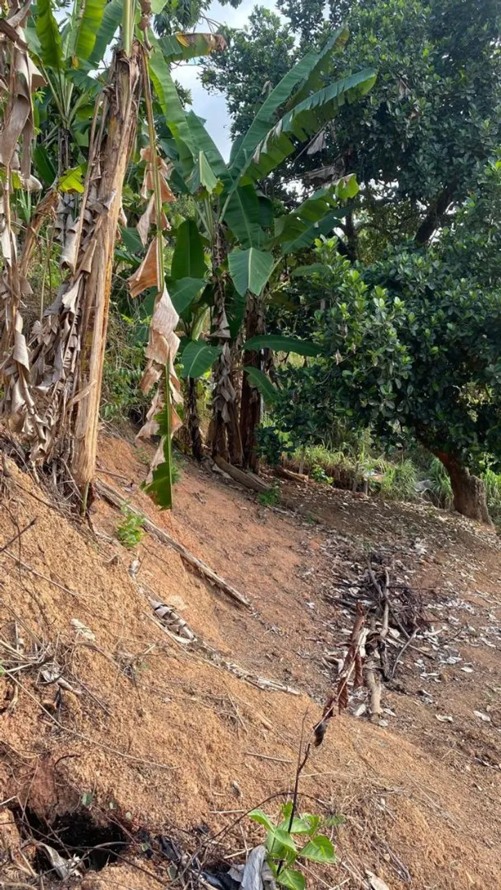 Terreno no parque Capibaribe
