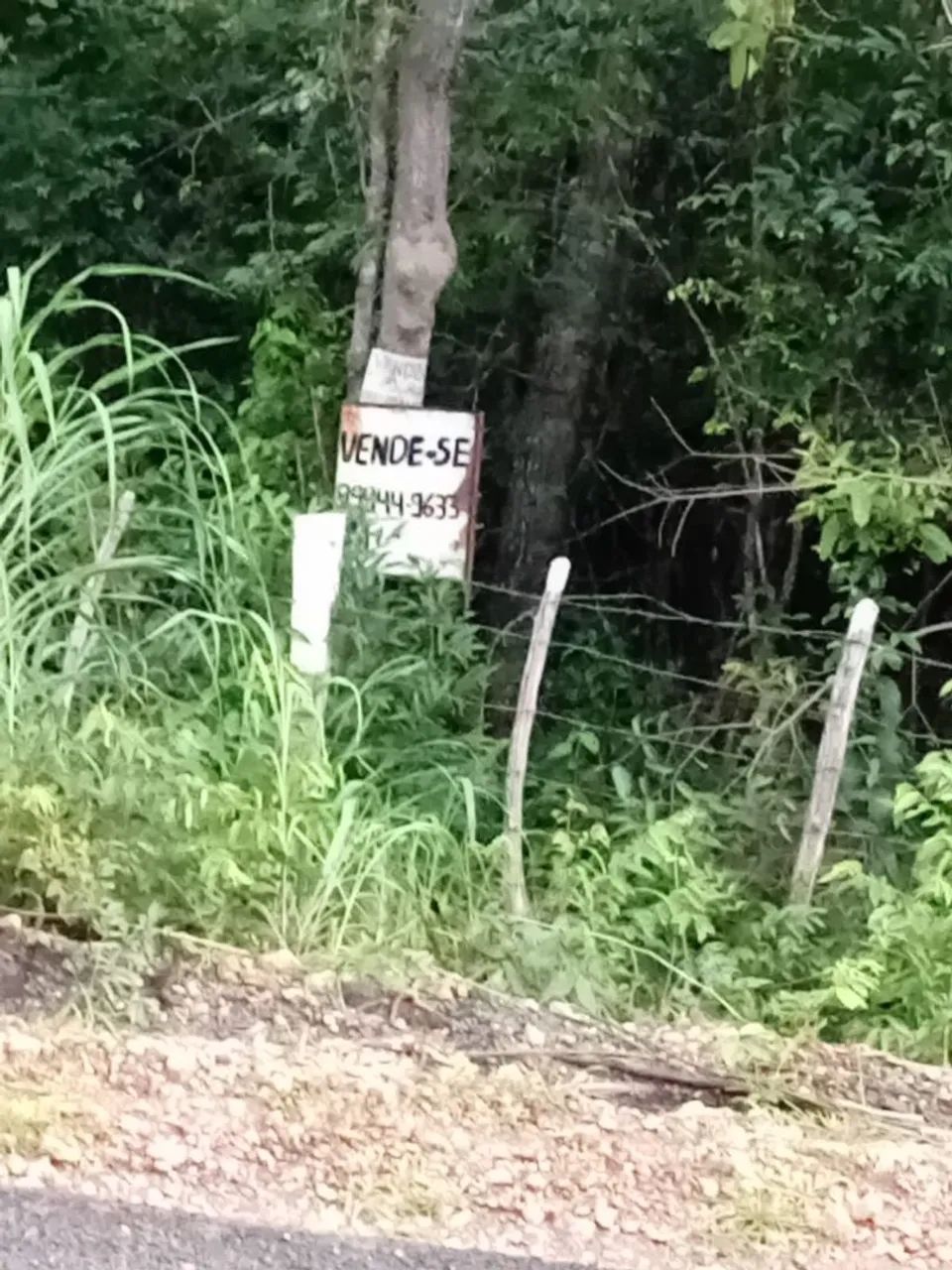 Vendo terreno a 100 metros do Rodoanel da Usina Santana/ Dirceu  - Foto 3