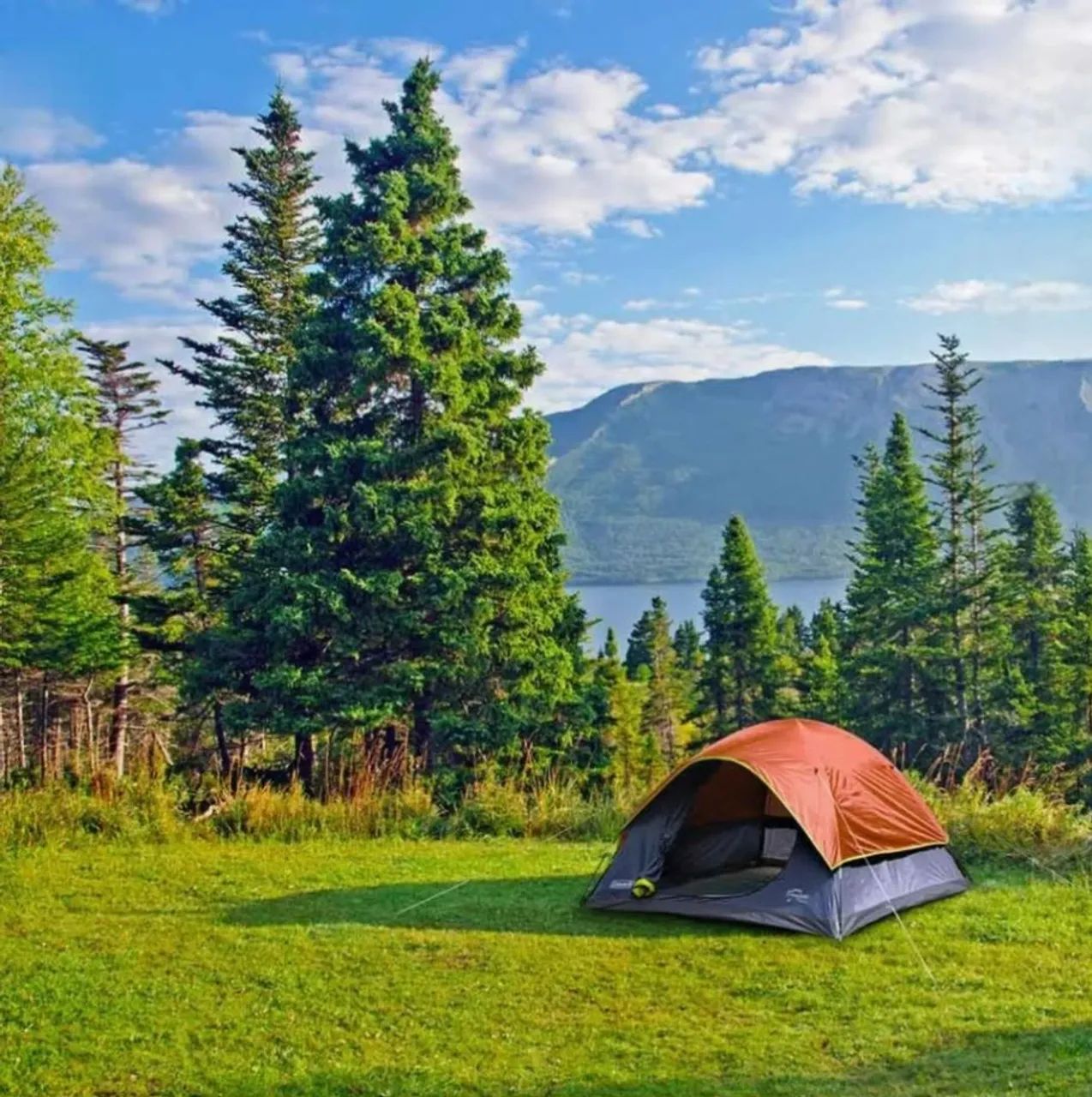 Barraca Coleman 6 pessoas Impermeável ( Produto Novo)