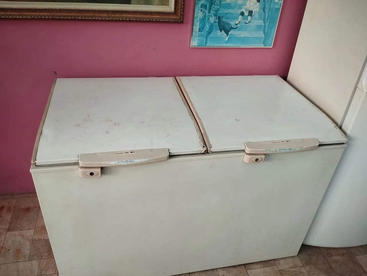 Freezer Electrolux h400