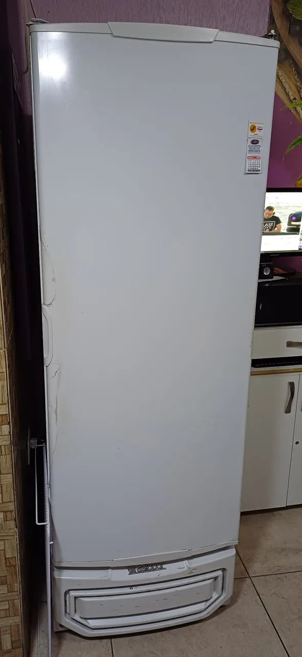 Freezer Vertical gelopar