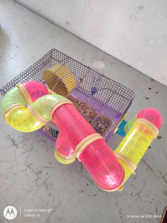 Gaiola para hamster com túnel