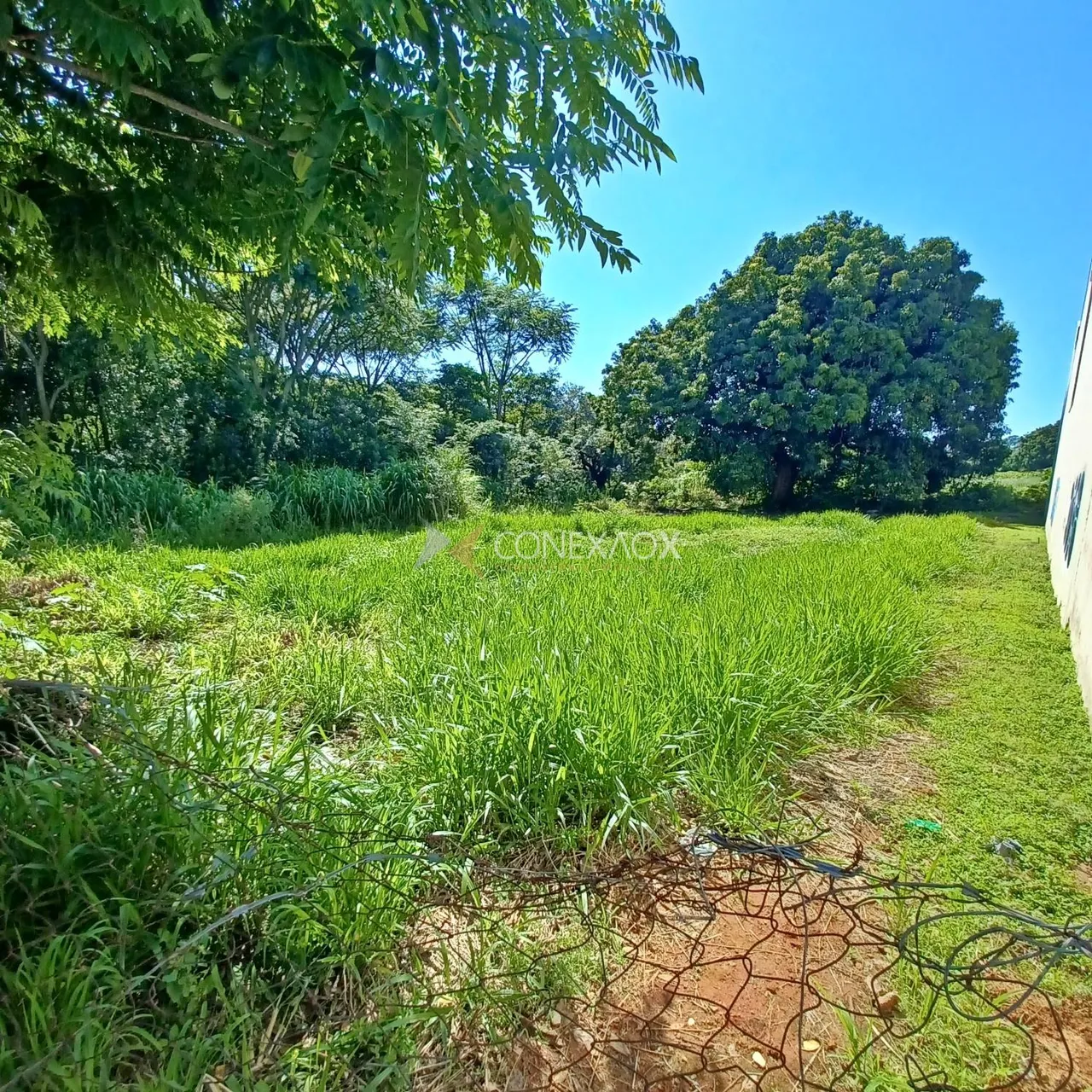 terreno - Cidade Universitária - Campinas