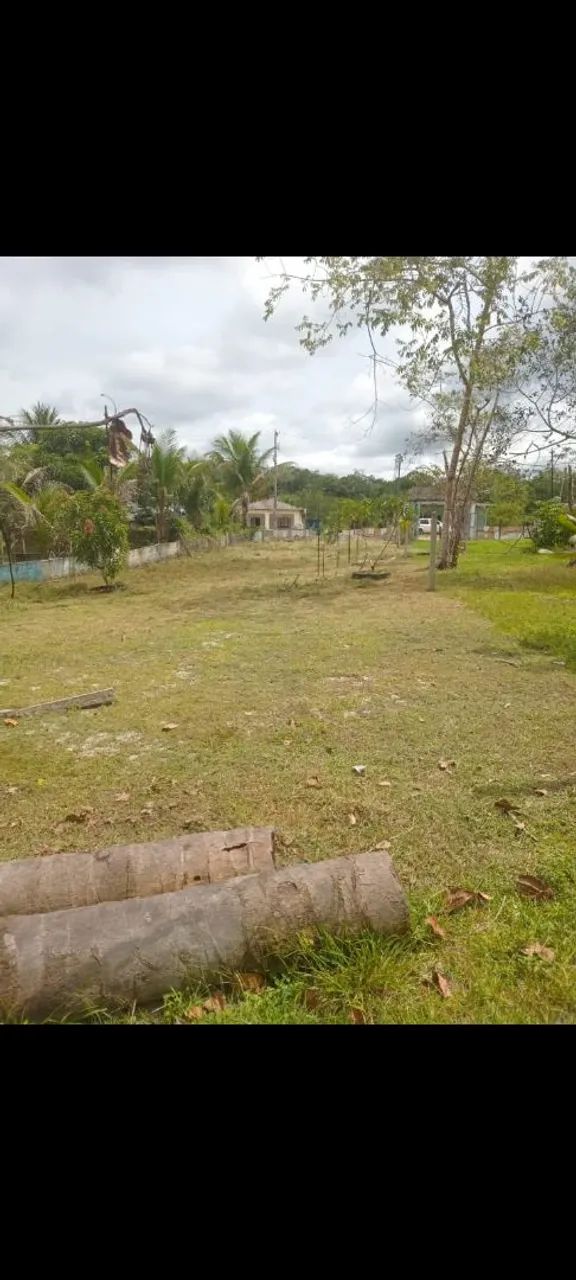 Foto - Manaus - Novo Aleixo