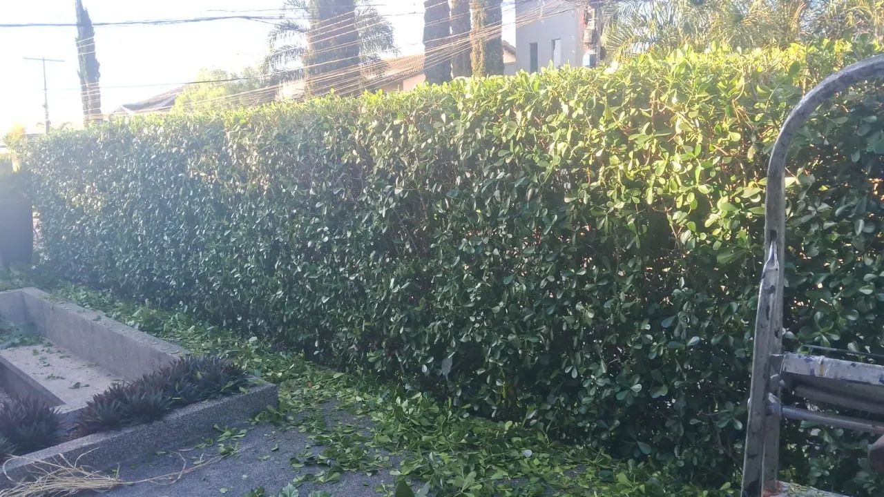 Jardinagem gramado poda , limpeza de terrenos  - Foto 3