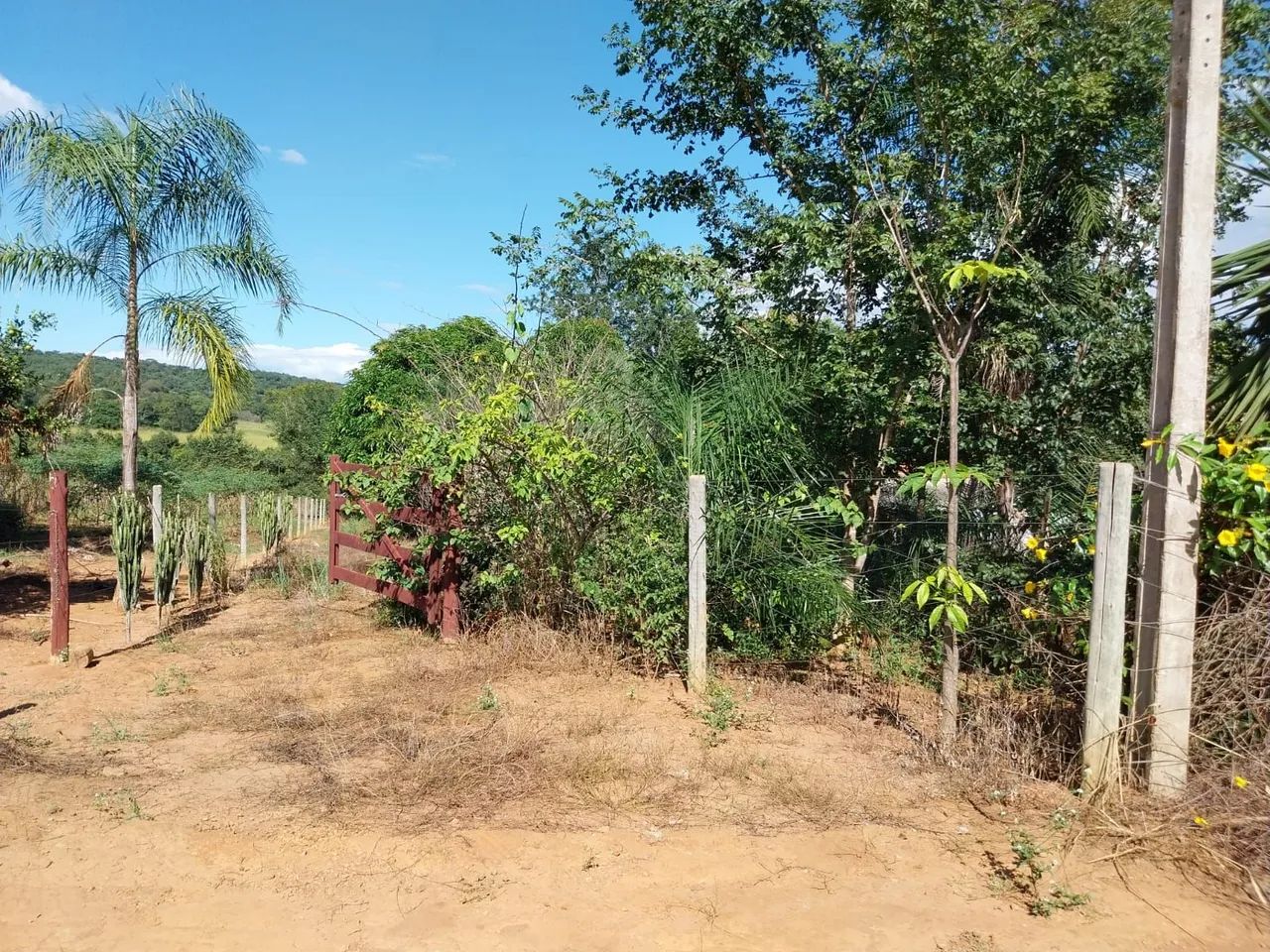 Alugo ou vendo Casa em Pirenópolis Goiás  - Foto 2