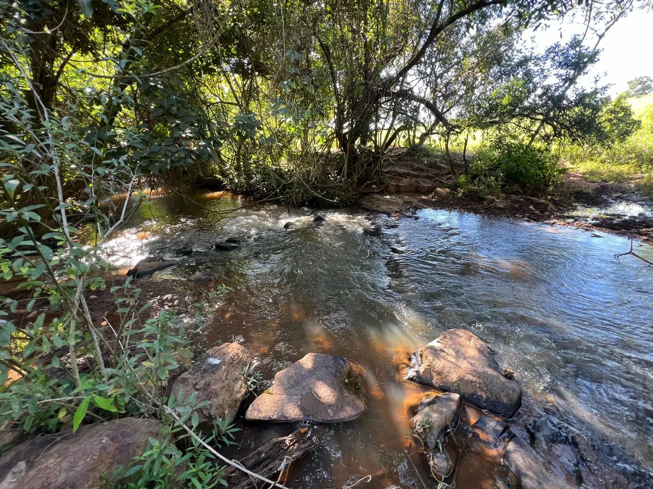 VENDO - 33.000 m ² em Bela Vista é Goiás