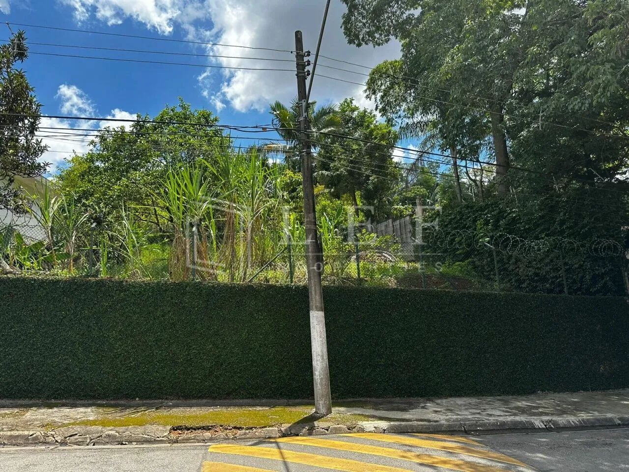 R.Rubens do Amaral,S/N - Morumbi - Terreno - Foto 5