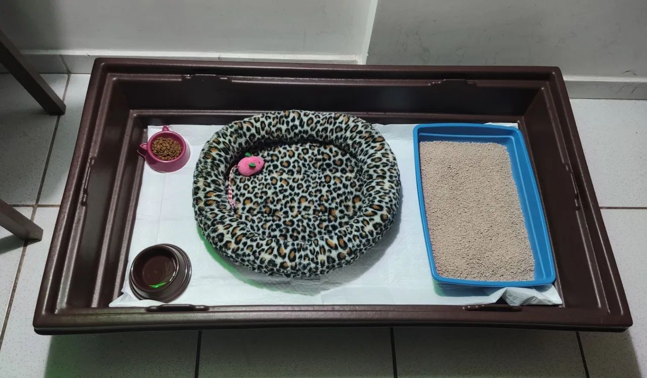 GAIOLA PARA COELHO ?  - Foto 3