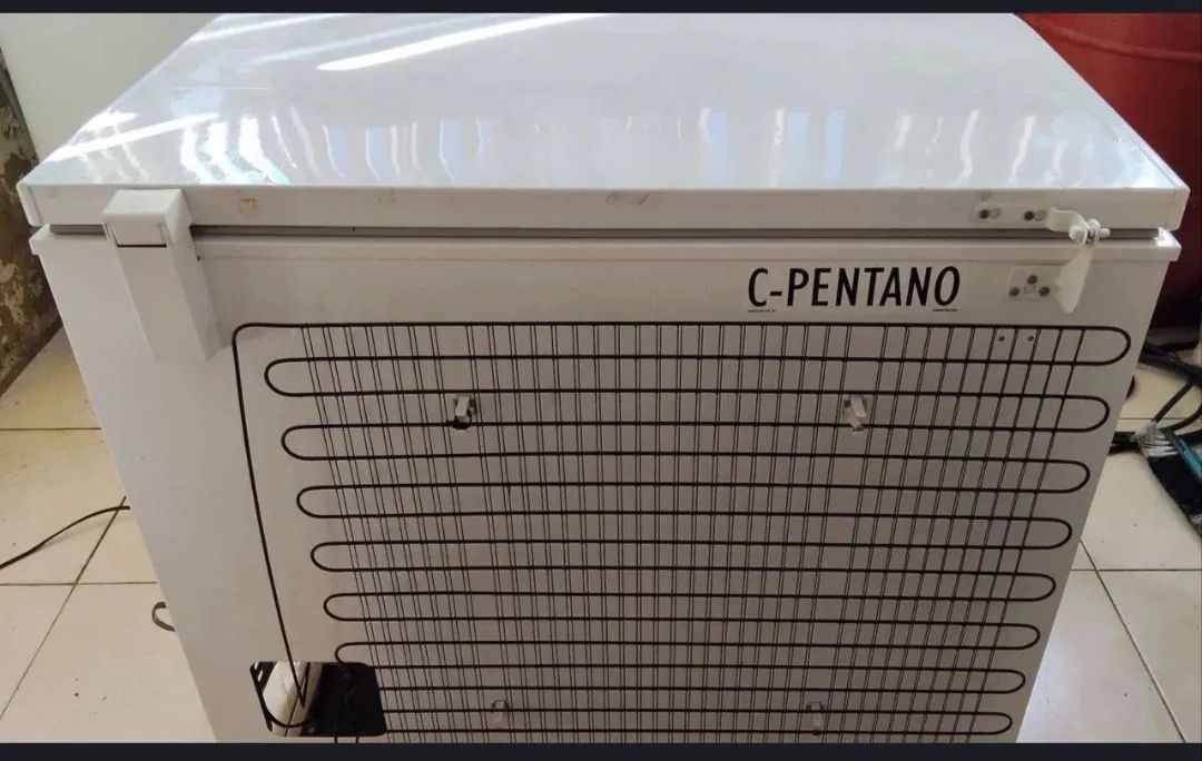 Freezer Eletrolux  - Foto 2