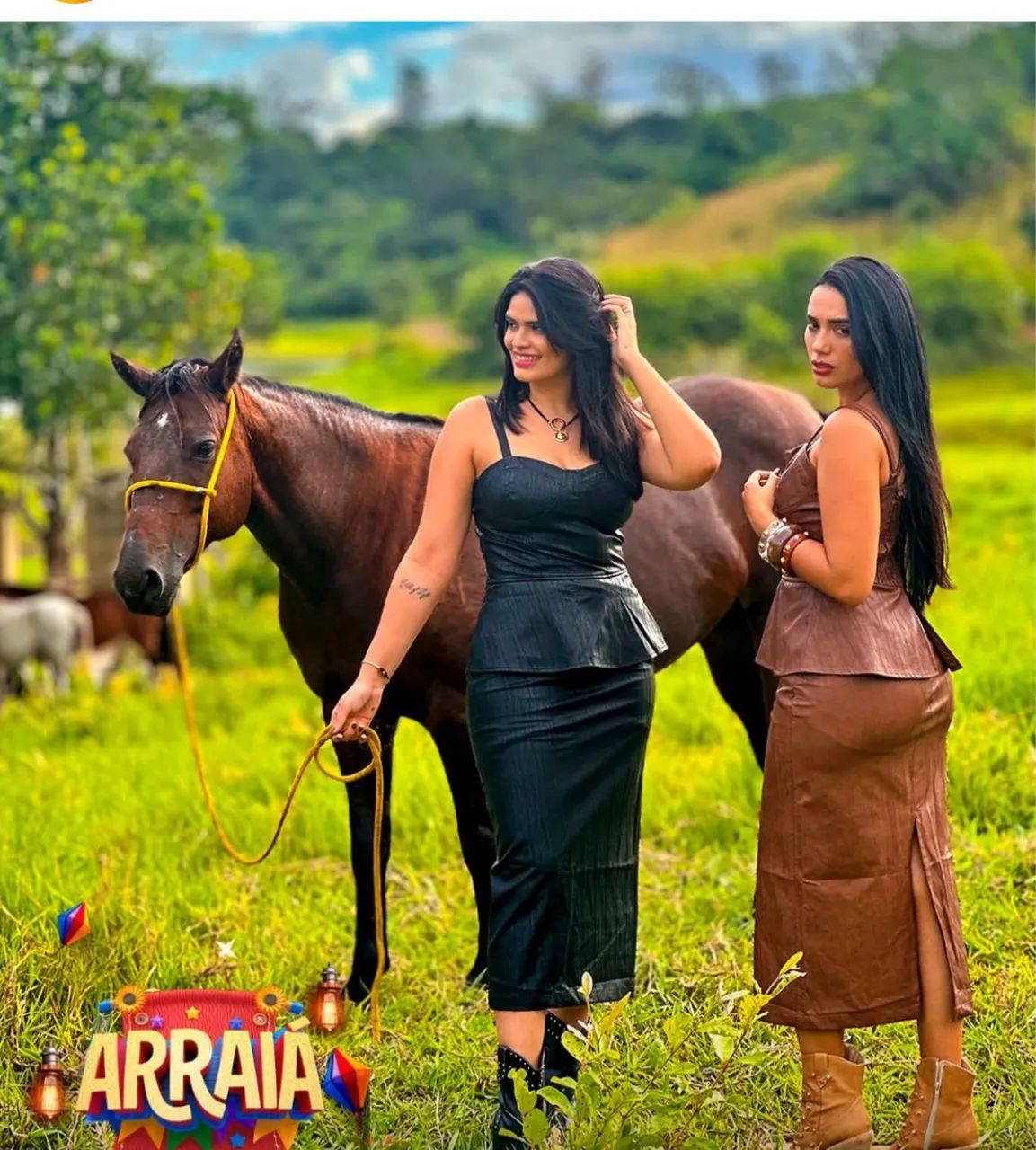Égua Quarto De Milha  - Foto 3