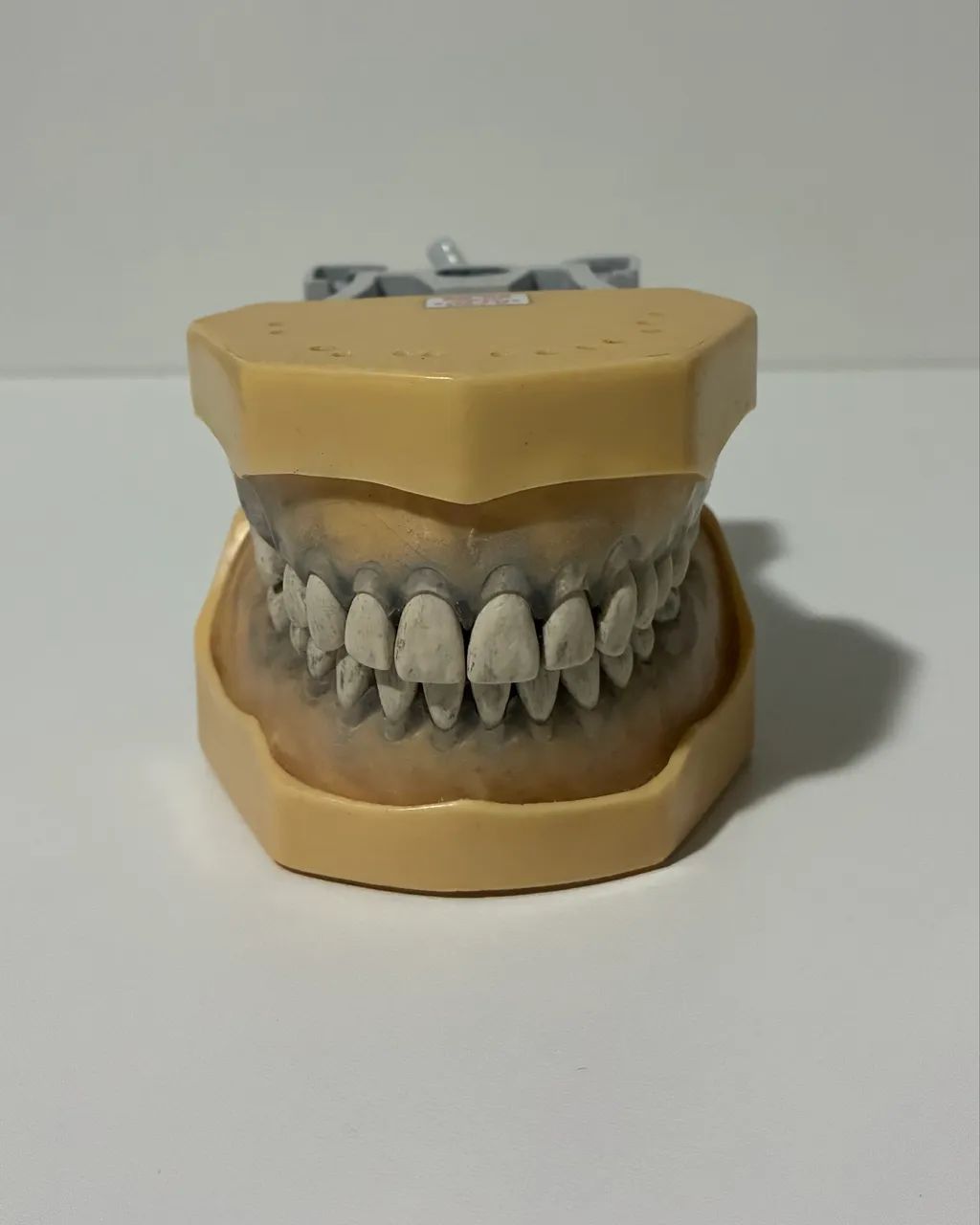 Manequim de periodontia MOM código 2040 - Foto 2