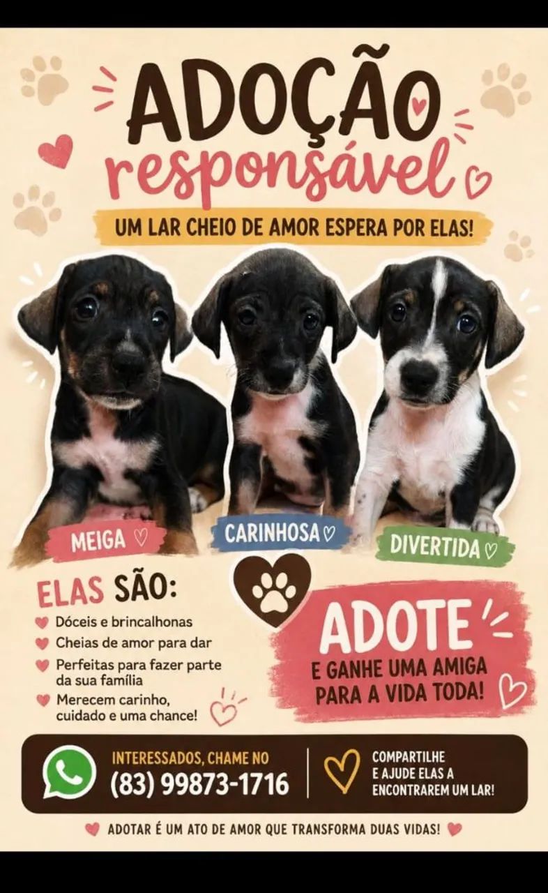 princesas para serem adotadas ?