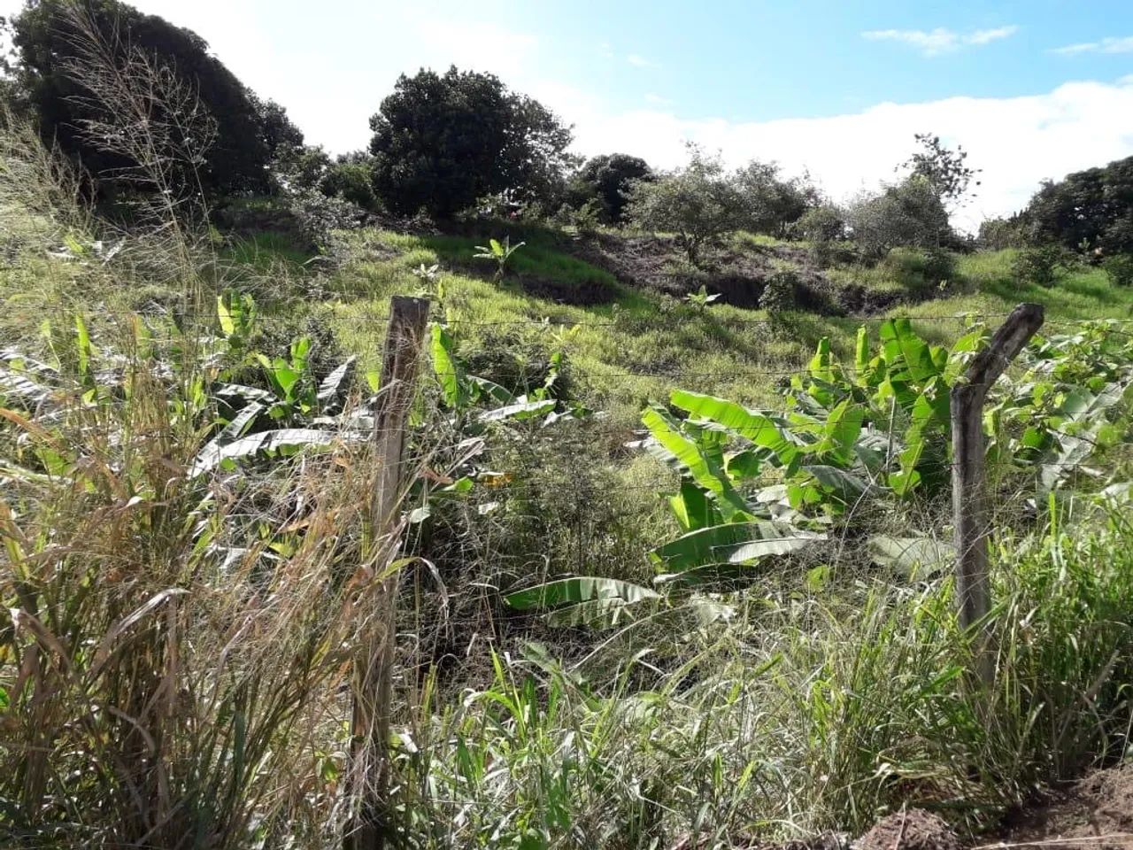 Sítio em Vitória - PE - Foto 3