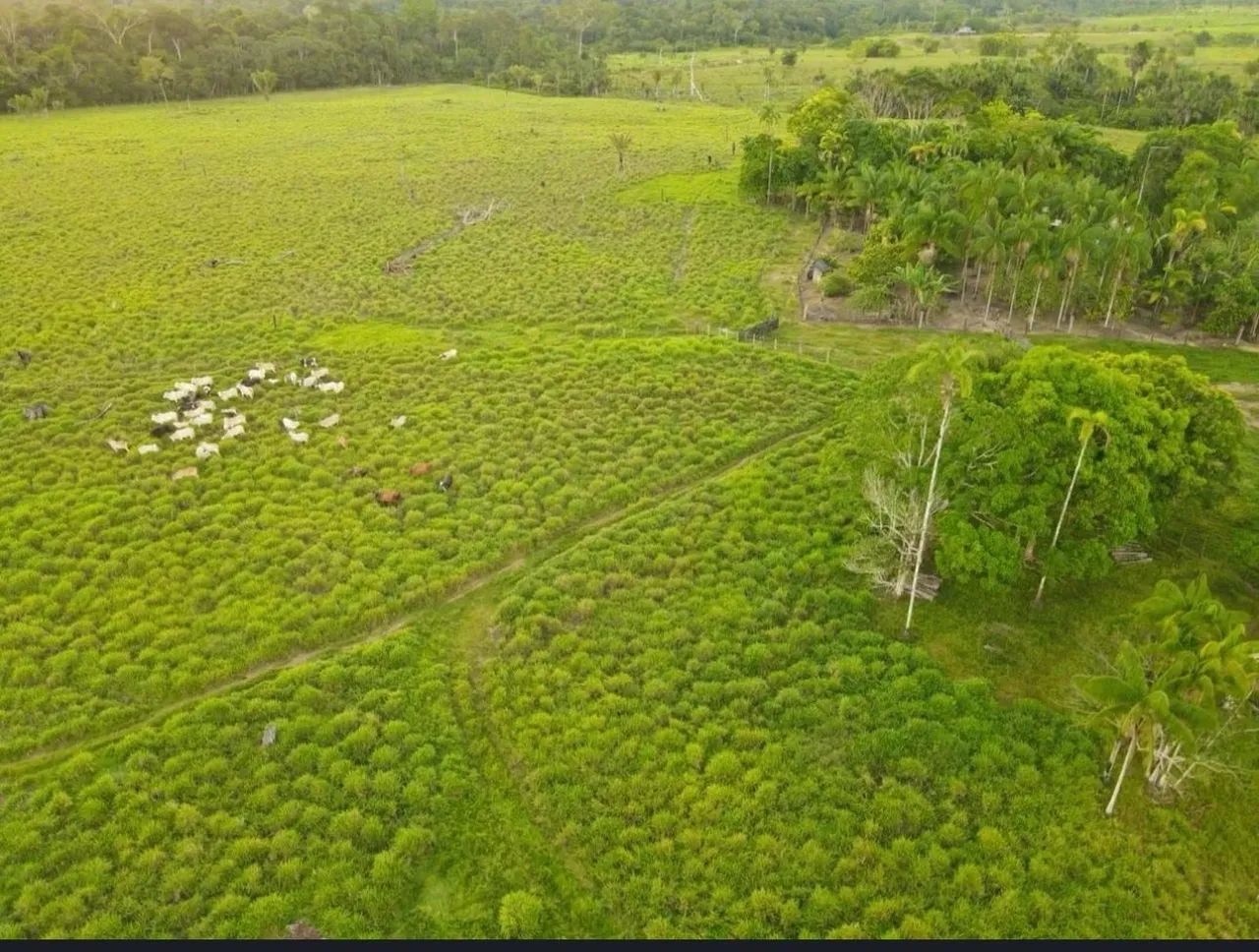 Vende-se fazenda em Campos novos  - Foto 4