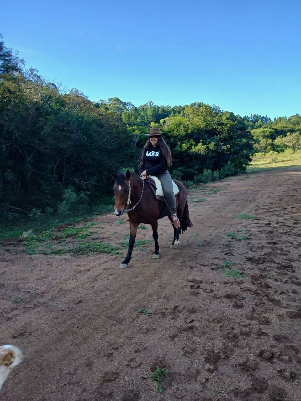 Vendo égua mansa para iniciantes - Foto 5