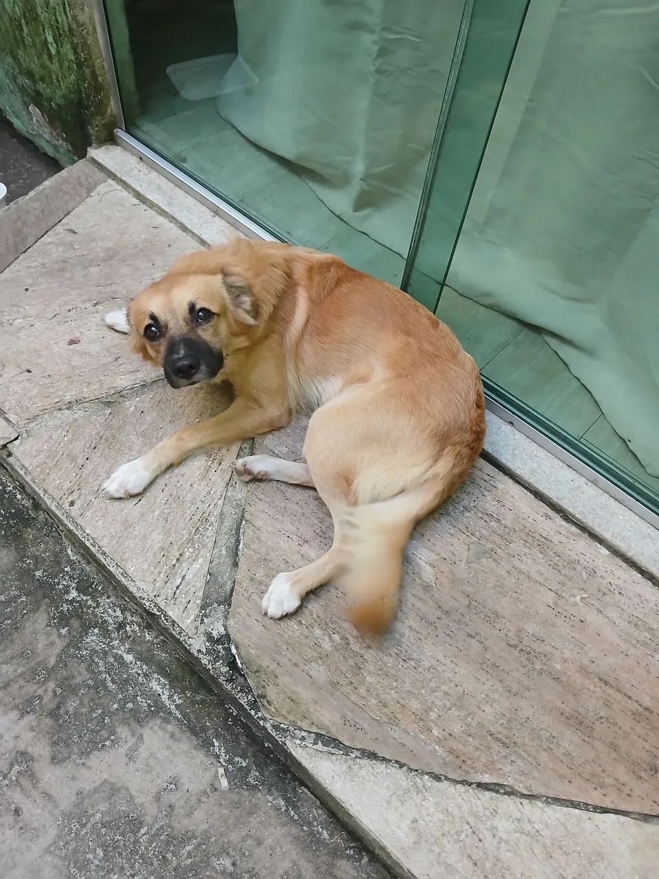 Doa-se  - Foto 5